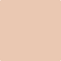 1214-Careless: Whispers  a paint color by Benjamin Moore avaiable at Clement's Paint in Austin, TX.