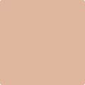 1215-Cinnamon: Spice  a paint color by Benjamin Moore avaiable at Clement's Paint in Austin, TX.
