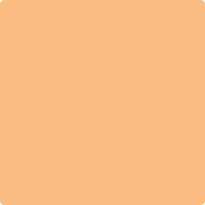 131-Seville: Oranges  a paint color by Benjamin Moore avaiable at Clement's Paint in Austin, TX.