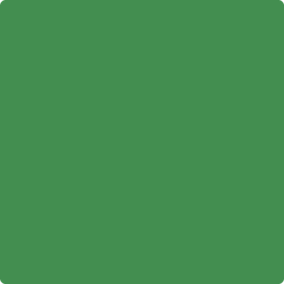 2034-30: Grassy Fields  a paint color by Benjamin Moore avaiable at Clement's Paint in Austin, TX.