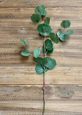 26.5" FRESH TOUCH SILVER DOLLAR EUCALYPTUS SPRAY - Magnolia Lane co. Home + Garden + Gift