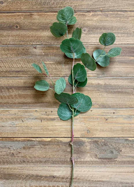 26.5" FRESH TOUCH SILVER DOLLAR EUCALYPTUS SPRAY - Magnolia Lane co. Home + Garden + Gift