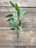 30" GREEN FRESH TOUCH FEATHER EUCALYPTUS SPRAY - Magnolia Lane co. Home + Garden + Gift