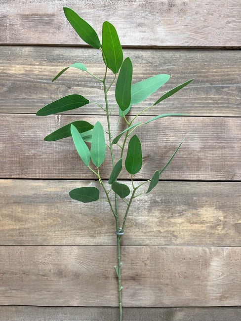 30" GREEN FRESH TOUCH FEATHER EUCALYPTUS SPRAY - Magnolia Lane co. Home + Garden + Gift