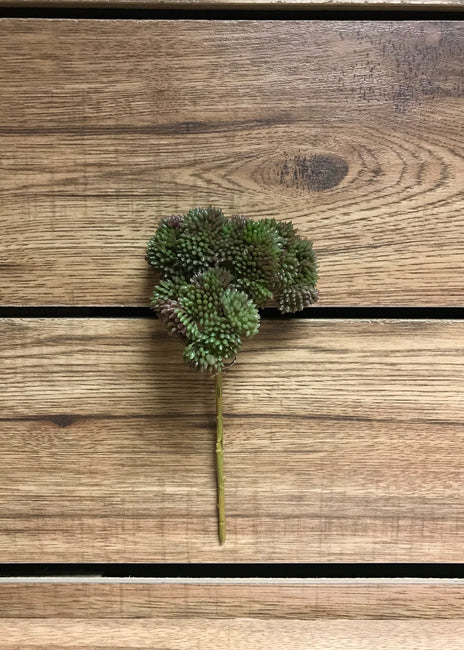 9" BURGUNDY GREEN FRESH TOUCH SEDUM PICK - Magnolia Lane co. Home + Garden + Gift