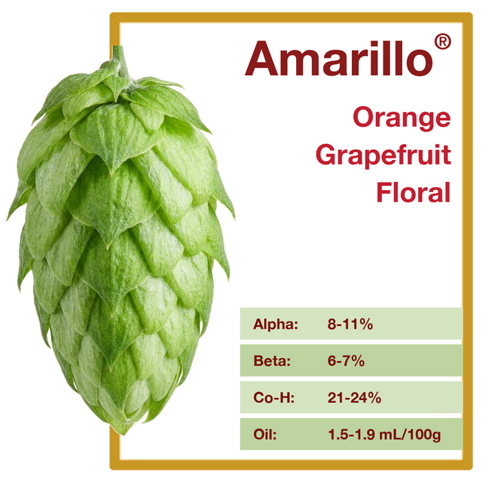Amarillo hop profile