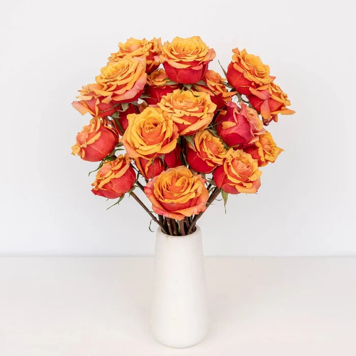 Aphrodites Love Potion Bicolored Rose Bouquet - Image