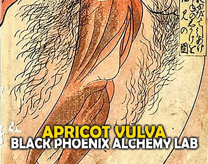 Apricot Vulva Perfume Oil