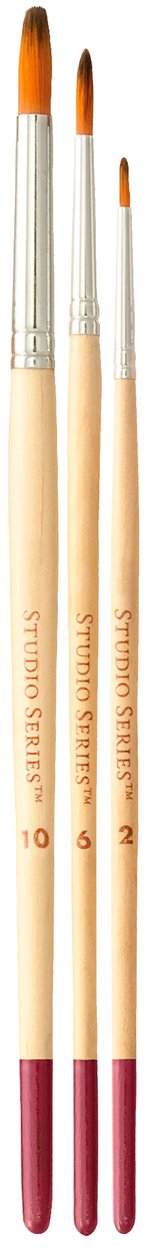 Artists Paintbrush Set