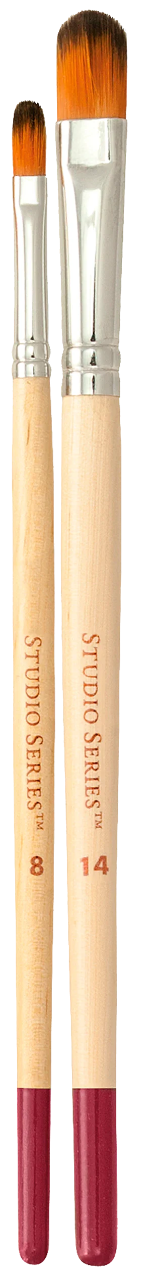 Artists Paintbrush Set