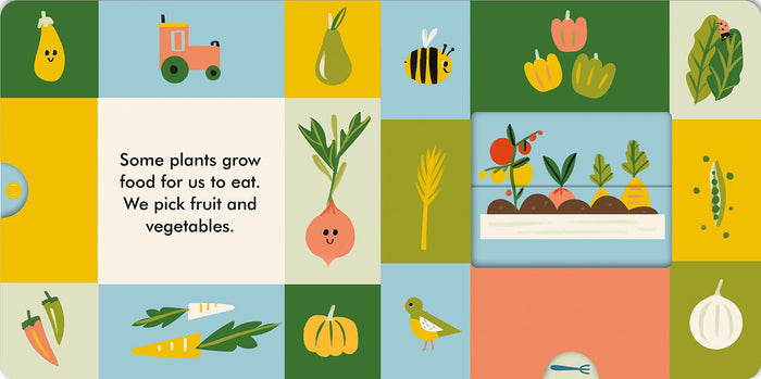 Book - Magic Windows: Growing - Spread 2