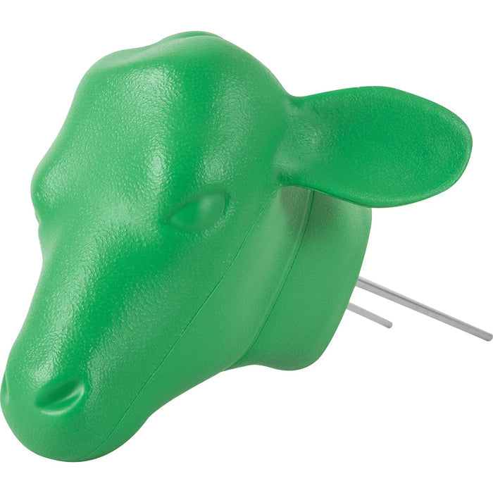 Calf Head