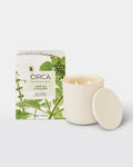 circa candle Circa Alchemy Candle White Tea and Wild Mint 300g