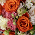 Coral Glow Diy Flower Kit Close Up - Image