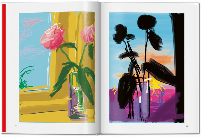 David Hockney. My Window