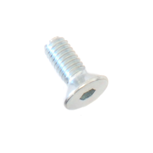 (1) M4x10 Flat Head Screw