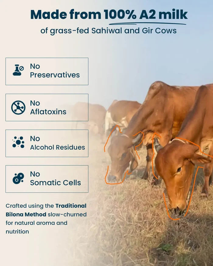 Doodhvale Farms Classic Cow Shuddh Bilona Ghee