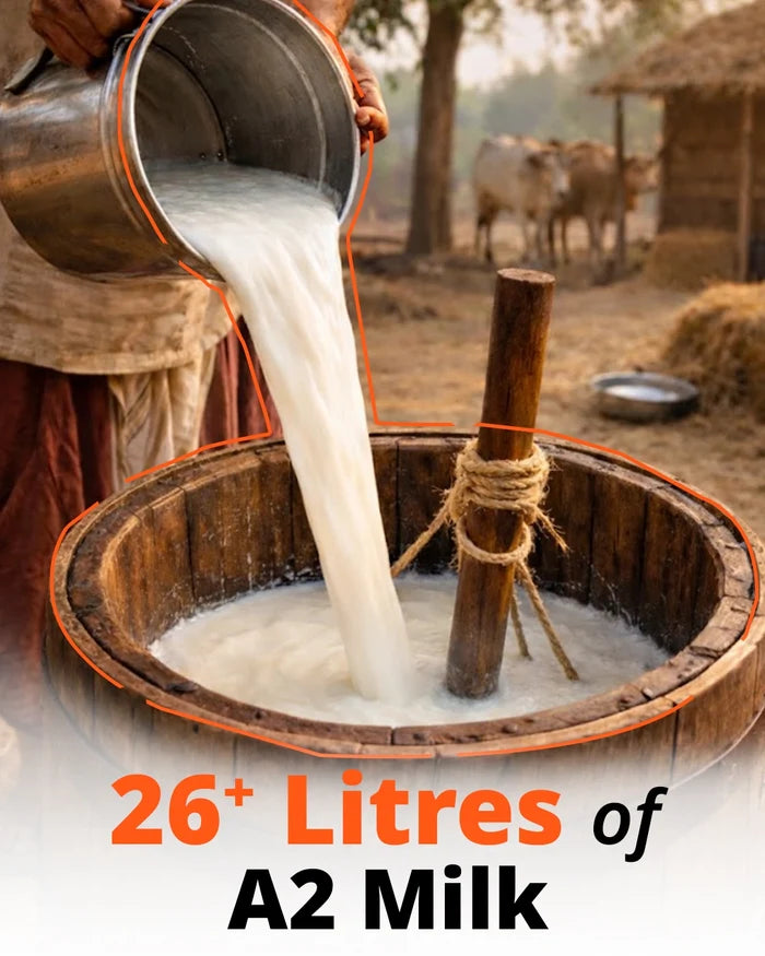 Doodhvale Farms Cow A2 Vedic Desi Ghee