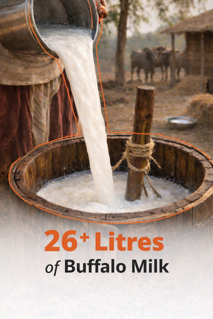 Doodhvale Farms Royal A2 Buffalo Desi Ghee