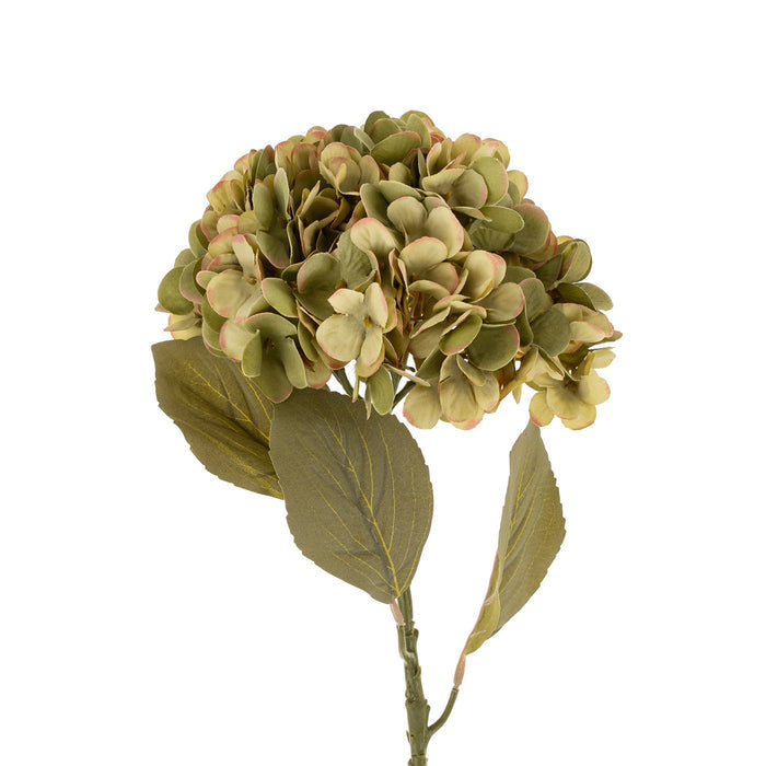 Faded Hydrangea Stem | Green - Magnolia Lane co. Home + Garden + Gift
