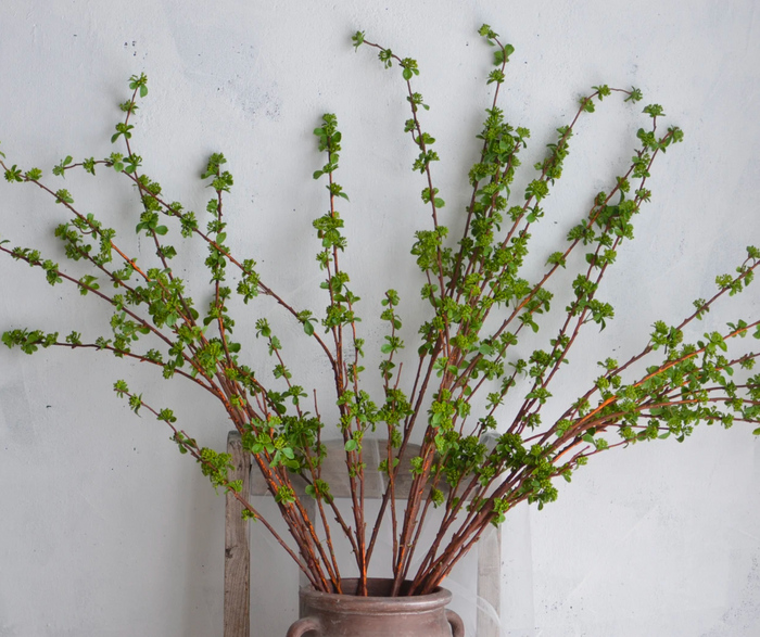 Faux Green Budding Branch - Magnolia Lane co. Home + Garden + Gift