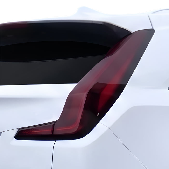 Rear Tint Kit (LIGHT)