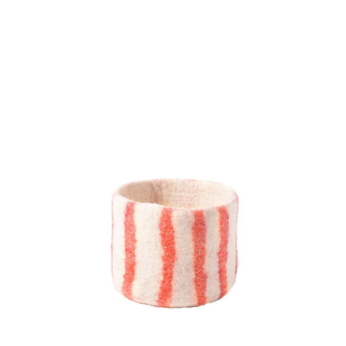 Thin Stripes Coral / Regular