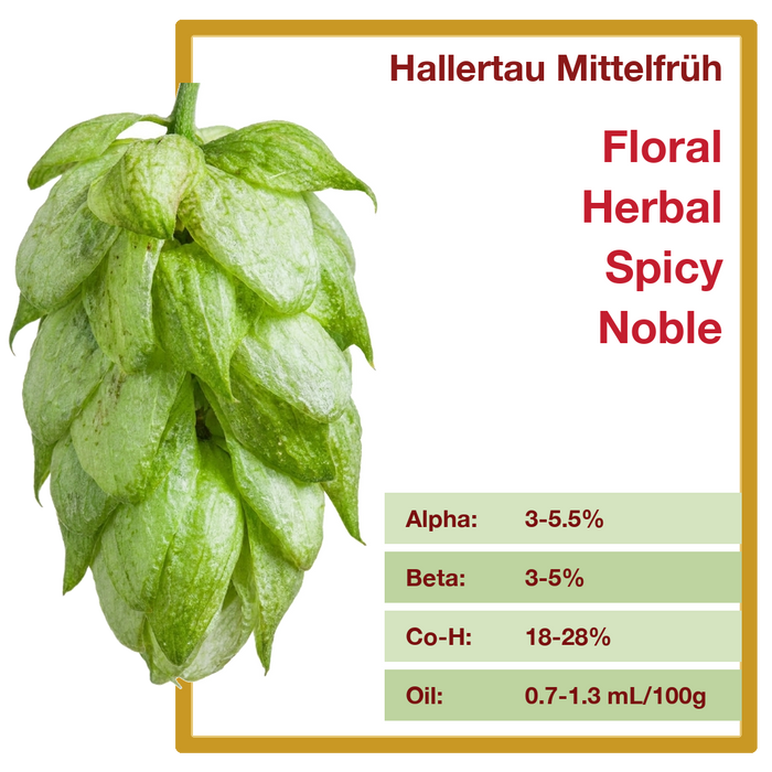 Hallertau Mittelfrüh hop profile