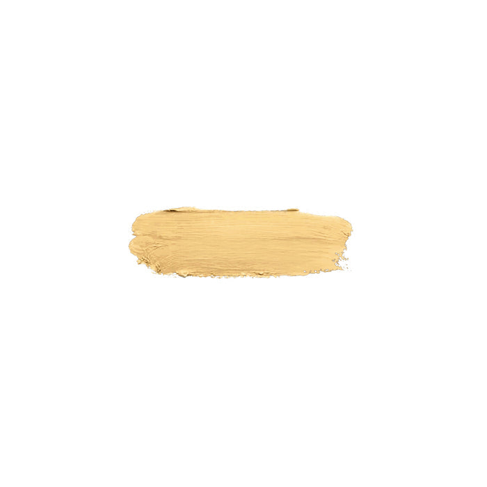 HD Studio Paint Stick