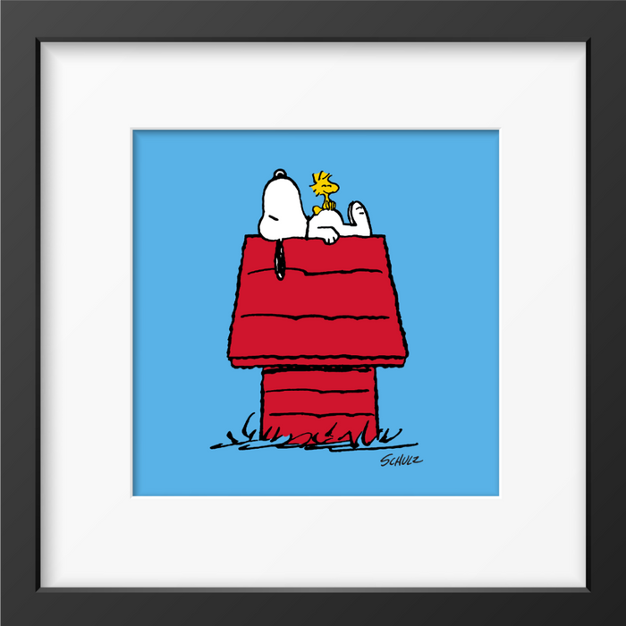 Magpie - Peanuts House Framed Print Handmade