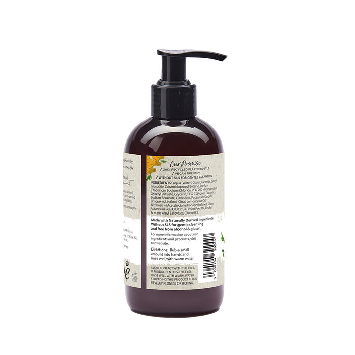 Naturals Ginger & Lemongrass Hand Soap 300ml