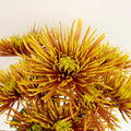 Neon Yellow Spider Mum Flowers Close Up - Image