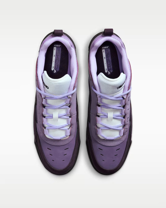 Nike SB Air Max Ishod 500
