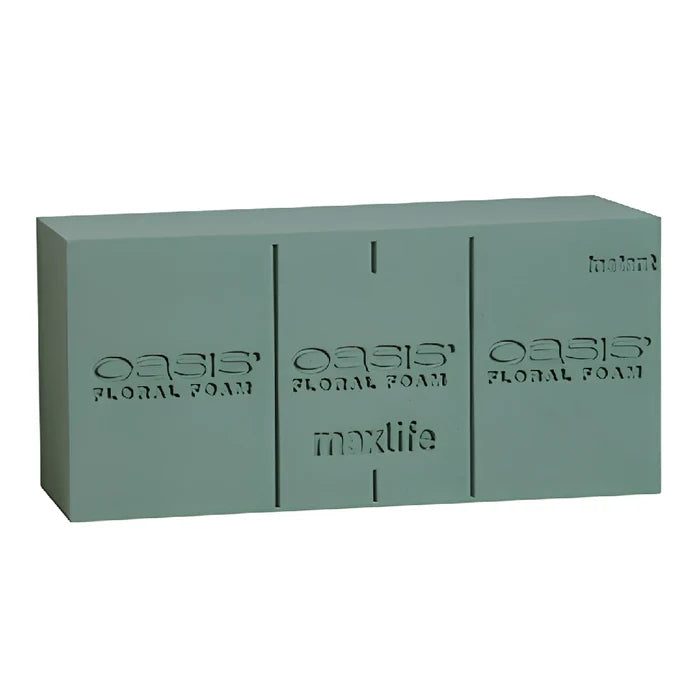 OASIS Standard Floral Foam Bricks