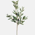 Olive Leaf Branch 33" - Magnolia Lane co. Home + Garden + Gift