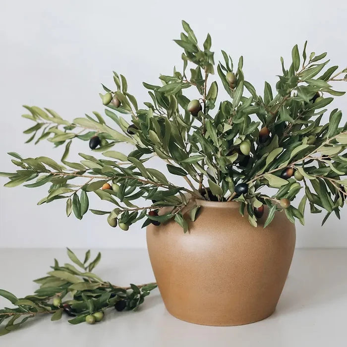 Olive Leaf Branch 33" - Magnolia Lane co. Home + Garden + Gift