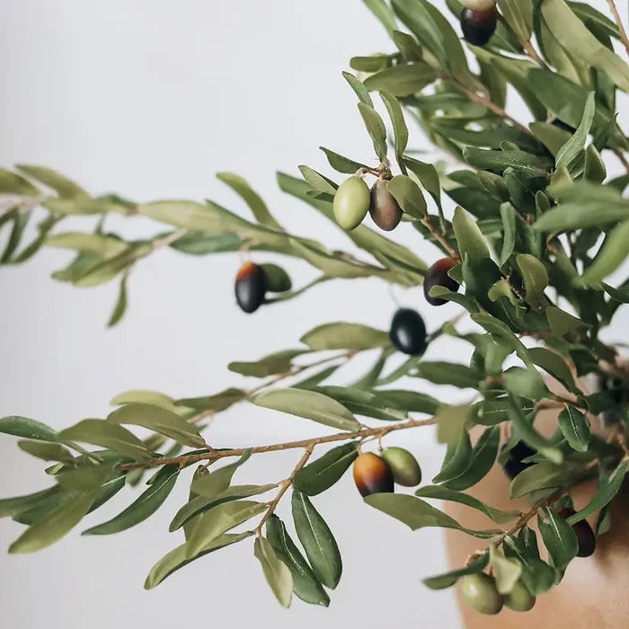 Olive Leaf Branch 33" - Magnolia Lane co. Home + Garden + Gift