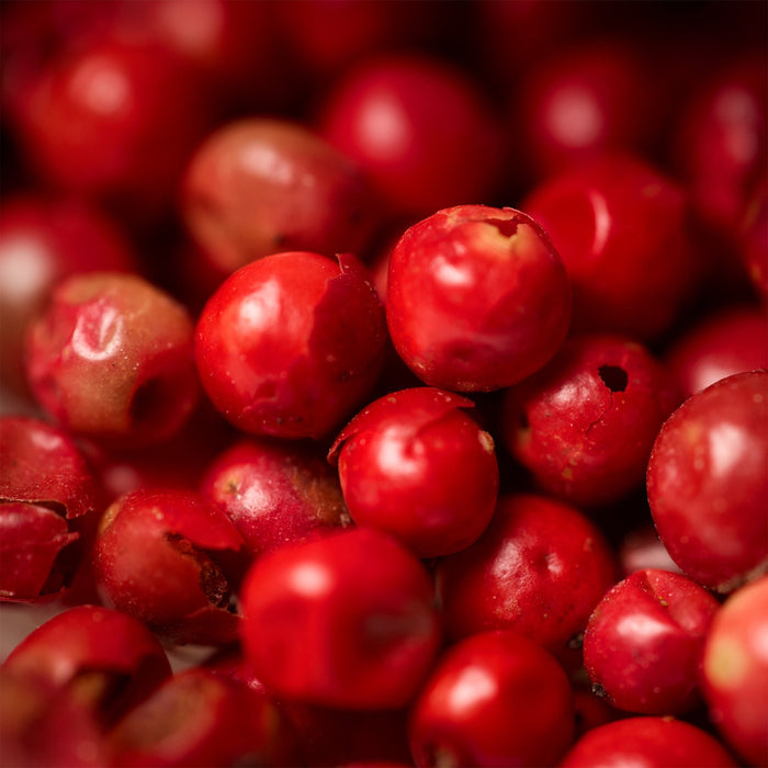 Close-up of red berries
