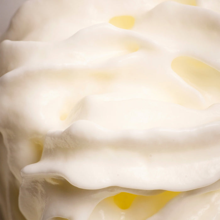 Close-up of a white flower with yellow centers