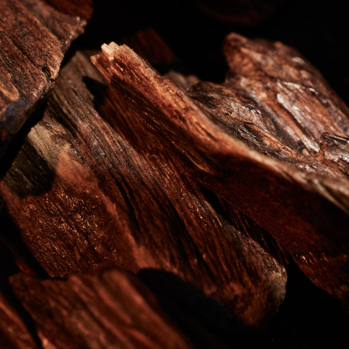 Close-up of oud sticks with a dark background