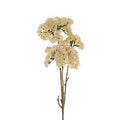 Pom Pom Floral Spray Cream - Magnolia Lane co. Home + Garden + Gift