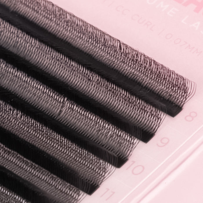 Pre-Russian Volume U-5DW Lash Tray