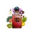 QAWAFI by Paris Corner