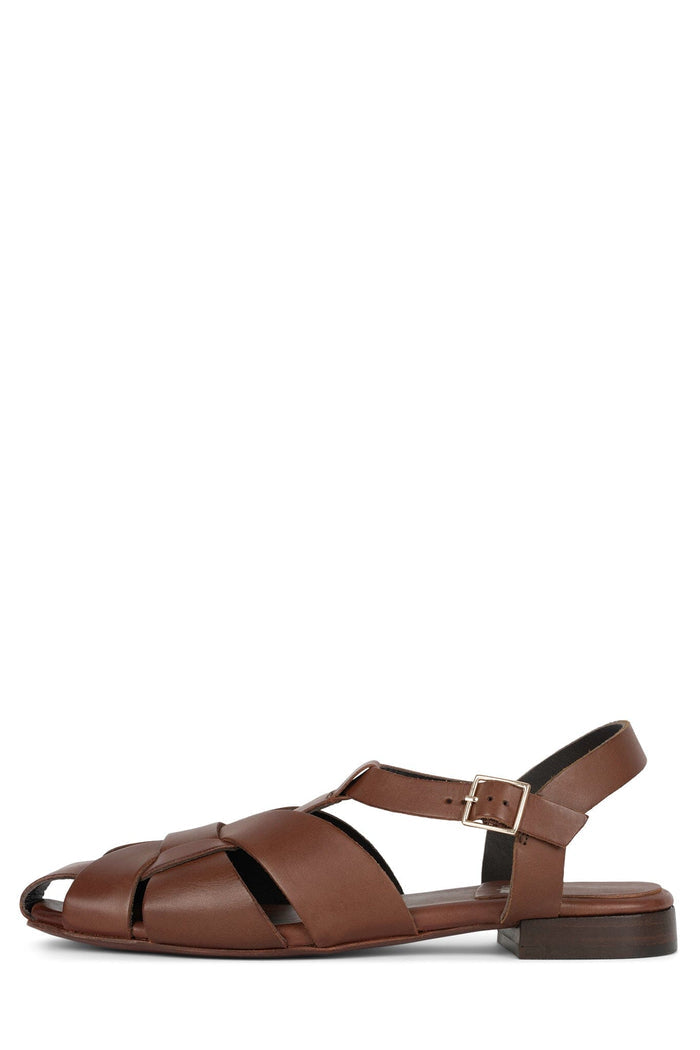 Brown / 6