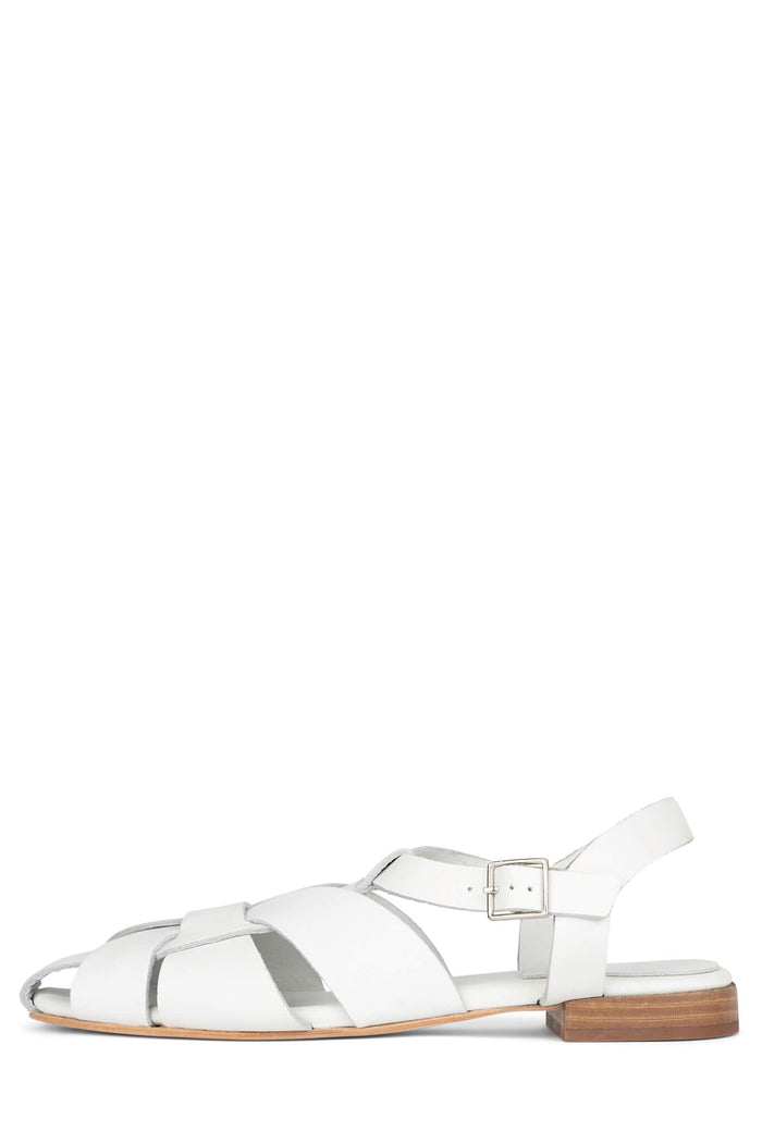 White / 6