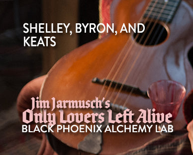 Guitar with text overlay about 'Only Lovers Left Alive' and production companies.