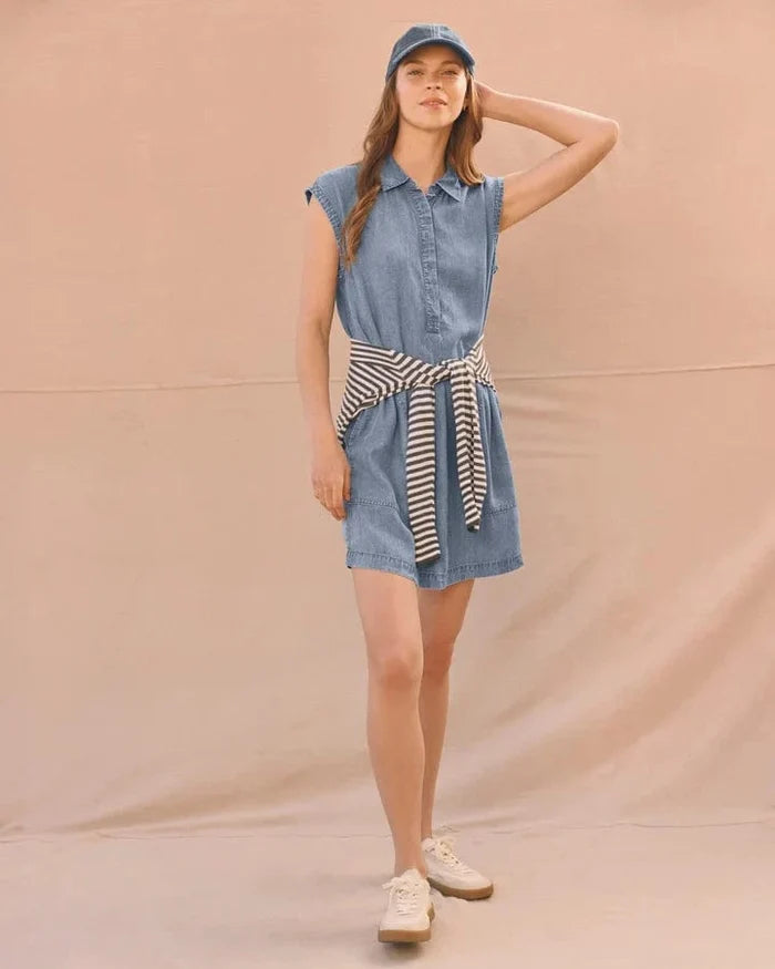 Splendid Wren Indigo Mini Dress