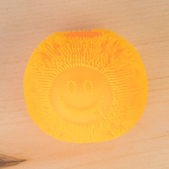 SQ9 - Smiley Stress Ball Squishy Fidget Variety Box