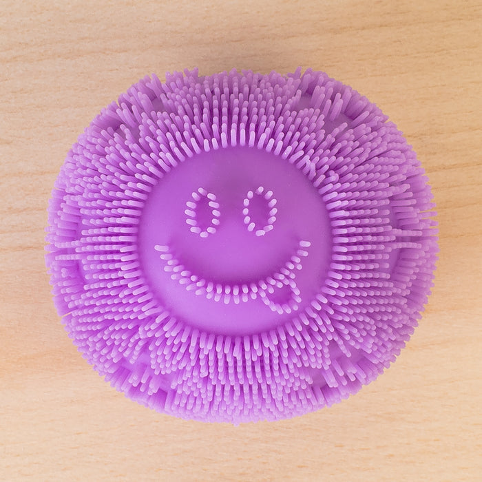 SQ9 - Smiley Stress Ball Squishy Fidget Variety Box