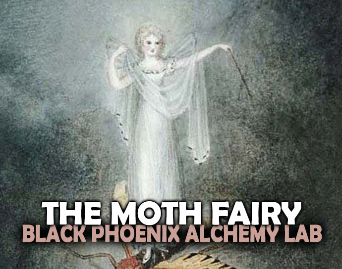 The Moth Fairy Perfume Oil